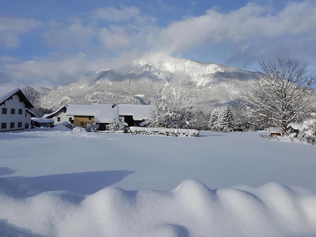 Chiemgauferienwohnungen - Wanderlust Und Alpenrose Unterwössen Extérieur photo